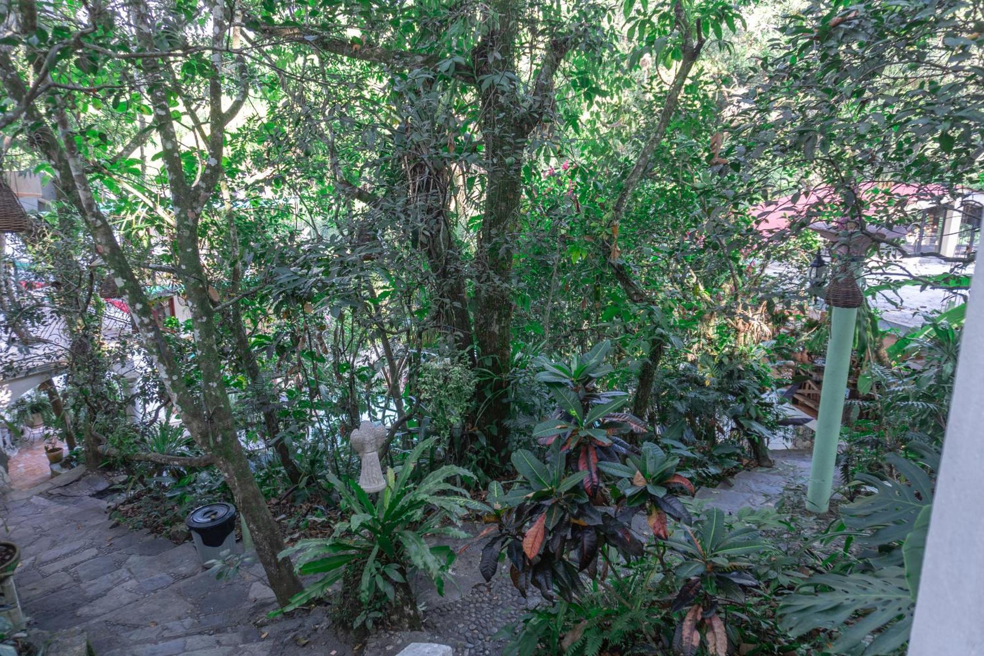 Hotel Paraiso Encantado Xilitla Dış mekan fotoğraf